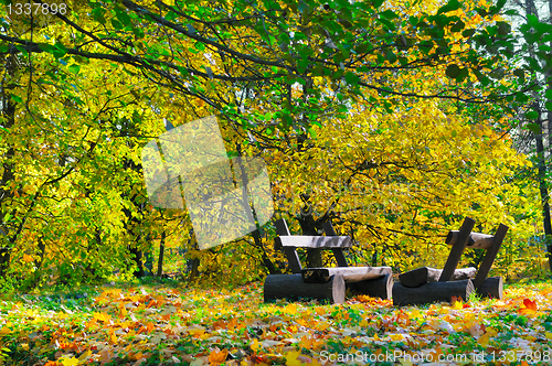 Image of Autumn landscape. Bench in the park