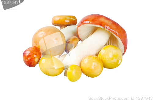 Image of Mushrooms on a plate. Russula