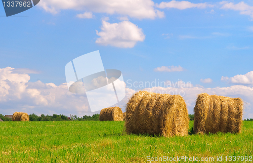 Image of Straw bales on field