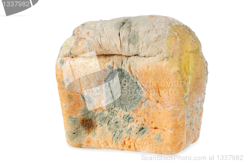 Image of Moldy bread. Isolated