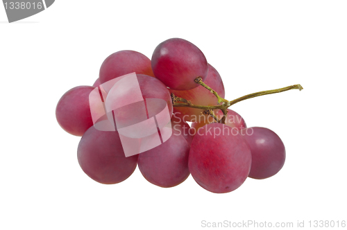 Image of Bunch of red grapes