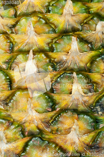 Image of Ripe pineapple. Close up, background texture