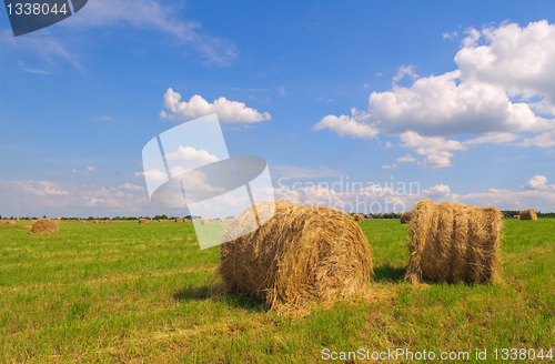 Image of Straw bales on field