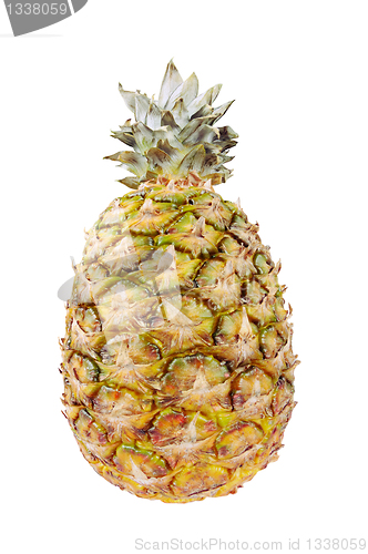 Image of Ripe pineapple. Isolated on white