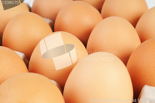 Image of Eggs in the package