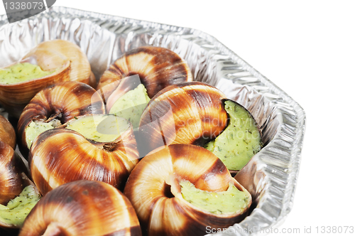 Image of Bourgogne snails with garlic butter