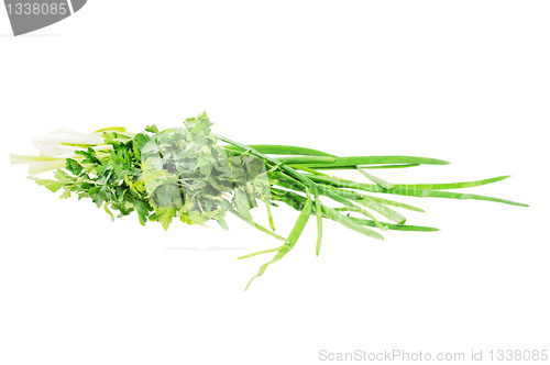 Image of Onions and parsley