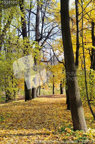 Image of Autumn landscape. Russia