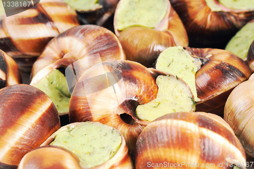 Image of Bourgogne snails with garlic butter