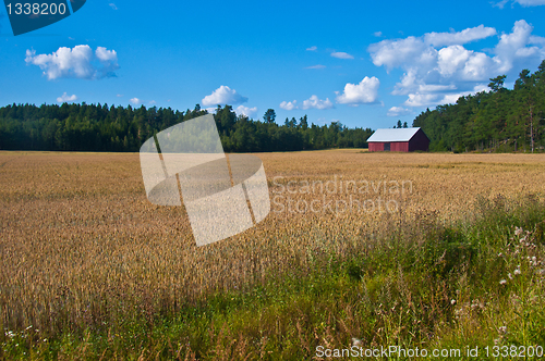 Image of Red barn