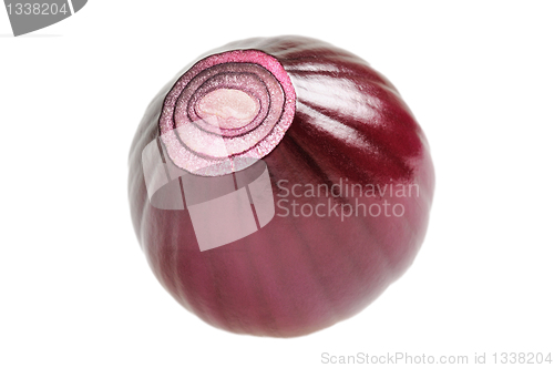 Image of Onion macro