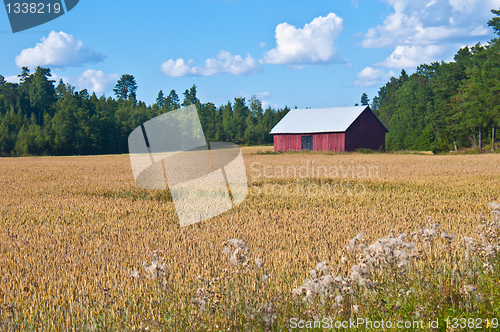 Image of Red barn
