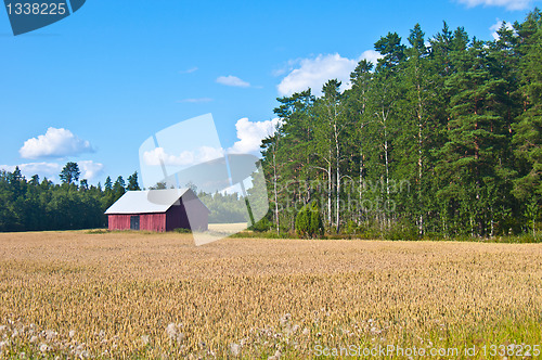 Image of Red barn