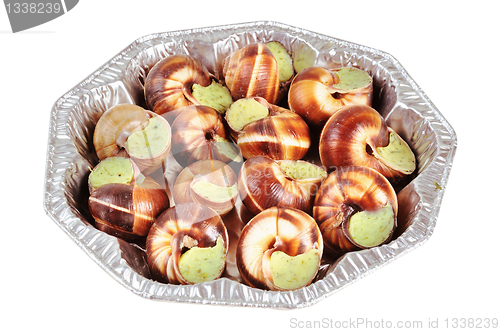 Image of Bourgogne snails with garlic butter