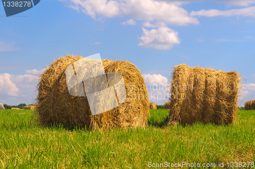 Image of Straw bales on field