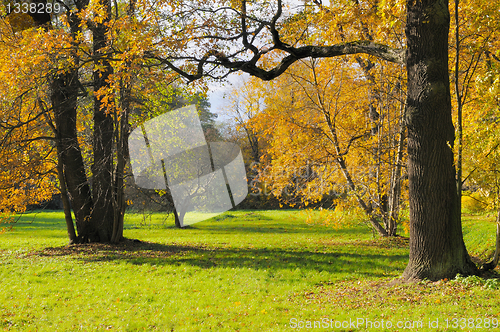 Image of Autumn landscape. Russia