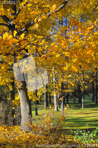 Image of Autumn landscape. Russia