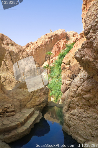 Image of River between rocks in the oasis of Tozeur
