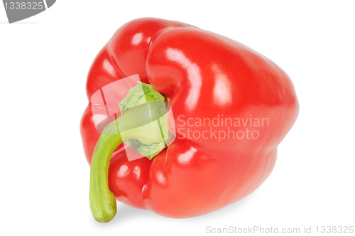 Image of Red pepper on a white background