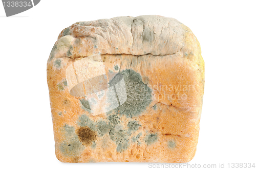 Image of Moldy bread. Isolated