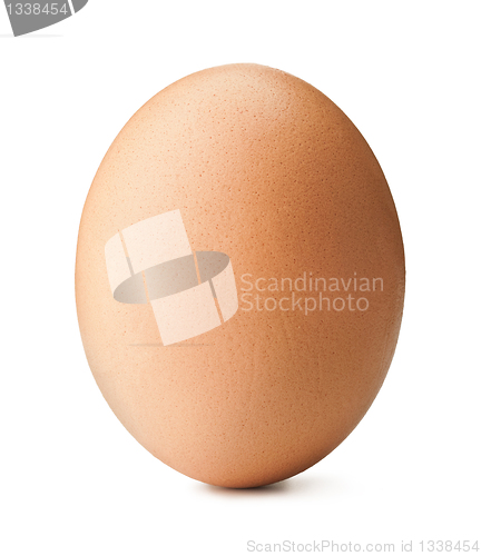 Image of Brown egg