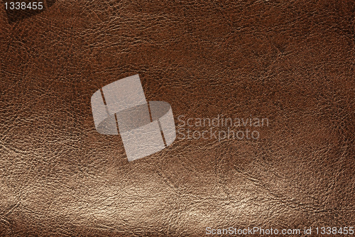 Image of Brown leather