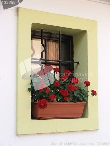 Image of window with flowers