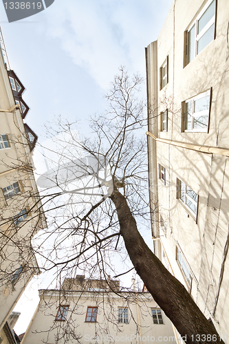 Image of Oldtown sky