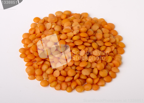 Image of red lentil