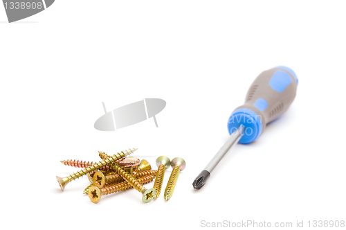 Image of Screwdriver and yellow screws