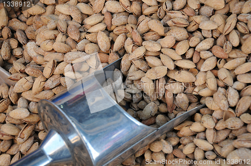 Image of Unshelled Almonds and Metal Scoop