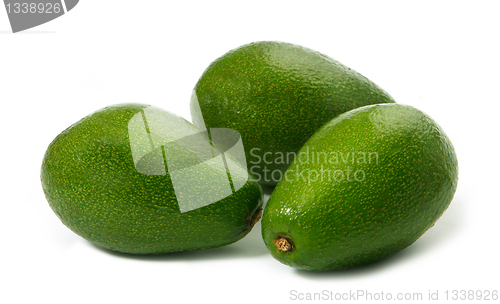 Image of fresh avocado
