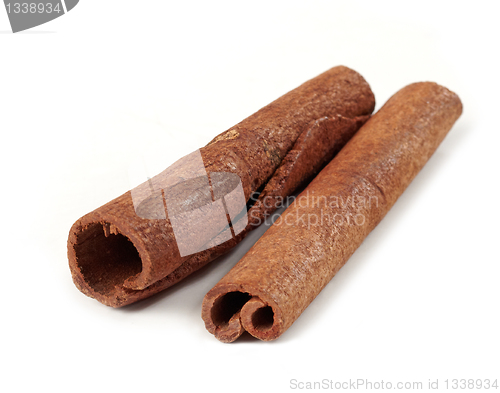 Image of cinnamon macro