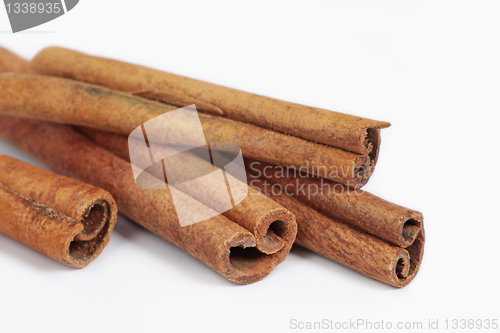 Image of cinnamon macro