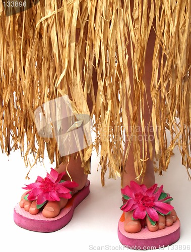 Image of hula skirt and flip flops