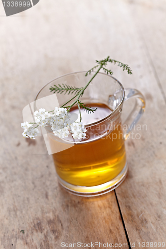 Image of fresh herbal tea