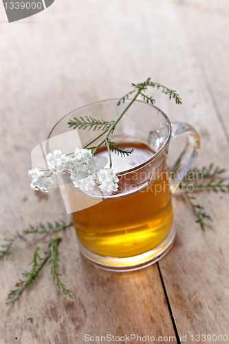 Image of fresh herbal tea