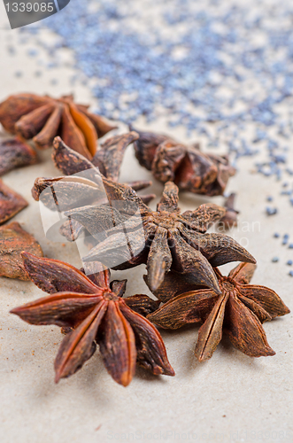 Image of Anise stars