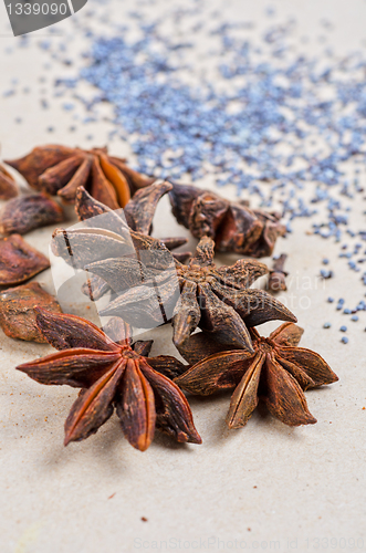 Image of Anise stars