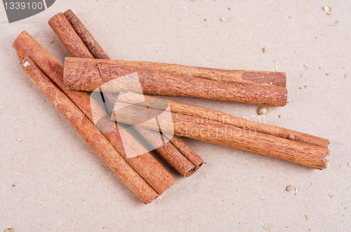Image of Cinnamon