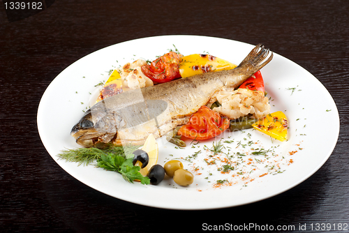 Image of trout fish