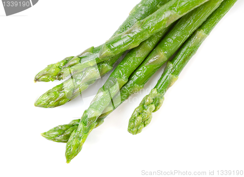 Image of Fresh asparagus on white