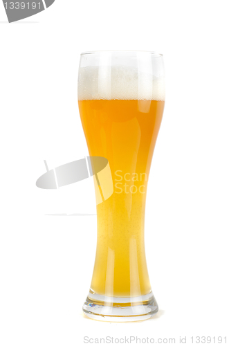 Image of Glass of beer