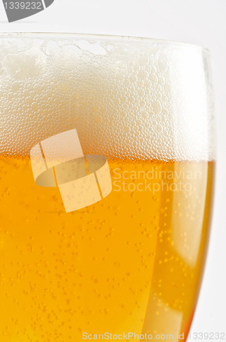 Image of Glass of beer