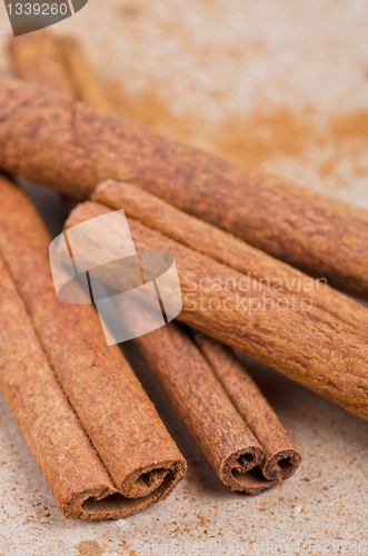 Image of Cinnamon