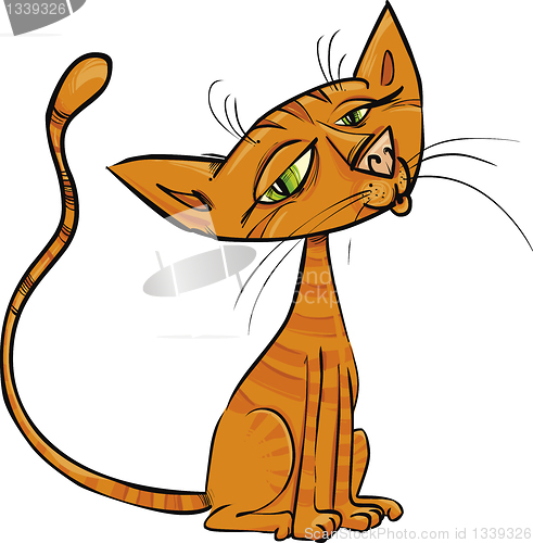 Image of red cat