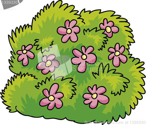 Image of bush with flowers