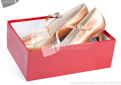 Image of Lady's shoes in the red box