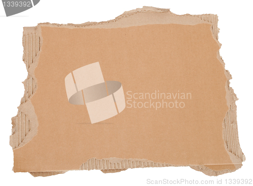 Image of Torn Cardboard Background