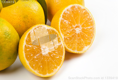 Image of Tangerines